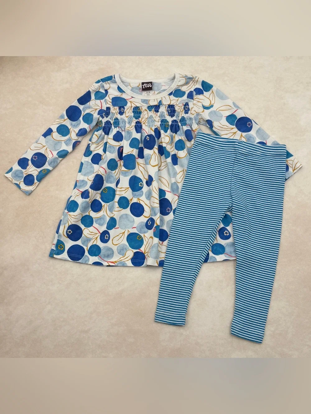 Tea Collection Blueberry Dress with Striped Leggings Set